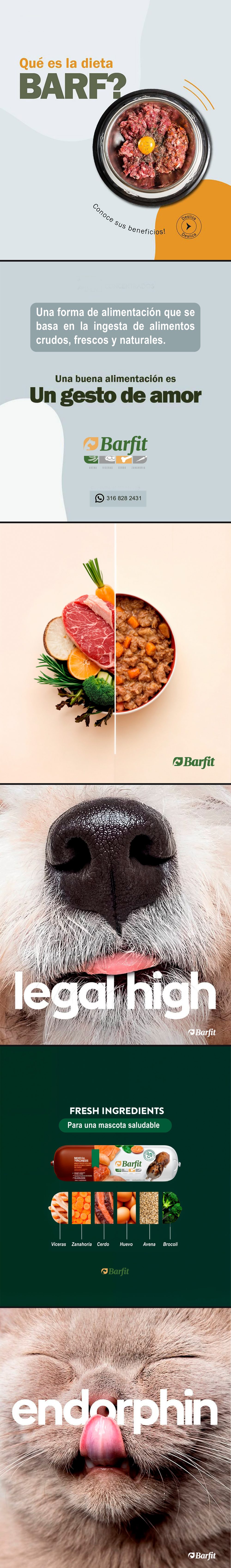 Pet Care